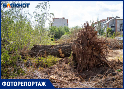 В сквере на пересечении Молодежной и Набережной началась подготовка к созданию пространства для «серебряных» волонтеров