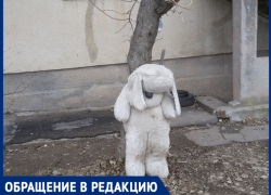 «Кладбище домашних игрушек - жуткое зрелище», - волжанин