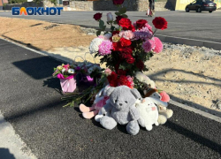 Волжский скорбит о погибшей под колесами маршрутки 3-класснице Ангелине