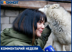 Категорически против предложения эвтаназии для бездомных собак выступила хозяйка волжского приюта