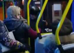 Потасовка в волжском автобусе вышла из-под контроля: сломанный нос и избитый кондуктор