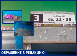 «Уборка раз в три месяца»: волжане жалуются на ужасное состояние подъезда