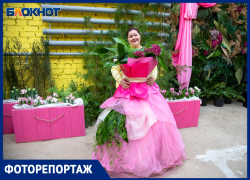 Где найти весну в феврале? В Волжском ботаническом саду расцвела крупнейшая выставка «Праздник первоцветов»