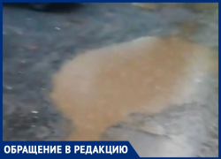 Огромные лужи, разбитая дорогая и сухие деревья: волжанка о забытом микрорайоне