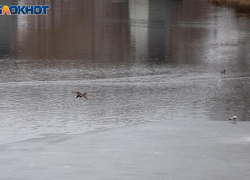 До +8 градусов днем: погода в Волжском