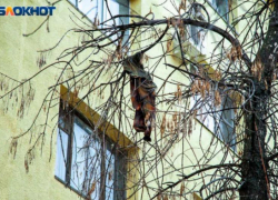 ﻿11-летняя девочка выпала из окна в Волгограде: организована проверка