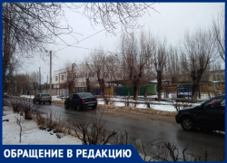 «На меня с ребенком напала собака», - волжанка жалуется на диких животных возле детского сада