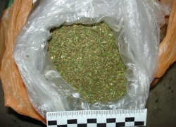 Молодой волжанин носил за пазухой более килограмма марихуаны