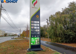 В Волжском подешевел бензин: сколько теперь стоит литр