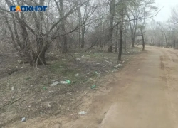 «Экологическая катастрофа»: вместо подснежников Волжский заполнил мусор