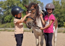 Осень в гармонии с природой в Конно-спортивном клубе «GREEN HORSE»