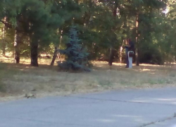 Тело молодого мужчины обнаружили в сквере в новой части Волжского 