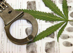 Под Волгоградом сбытчик марихуаны отправится за решетку на 10,5 лет