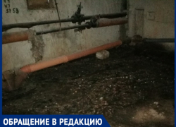 "Я когда туда зашла, там тараканы, комары, вонь сыростью", - волжанка