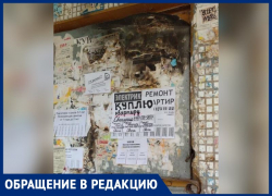 Мусор, трава, подвальная вонь и мыши: волжане устали от бездействия УК