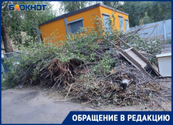 «Обложили трансформаторную будку сухостоем и ждут сожжения еретика?», — волжане негодуют. Видео
