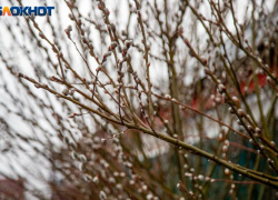 Синоптики обещают пасмурные выходные в Волжском