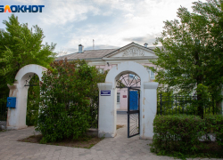 Стая безнадзорных собак напала на 10-летнего мальчика в Волжском