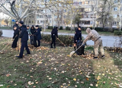 В Волжском продлили осенний месячник по благоустройству