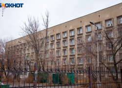 Облздрав прокомментировал избиение в стенах поликлиники № 5 Волжского