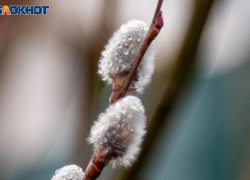 Солнце не порадует жителей Волжского в воскресенье