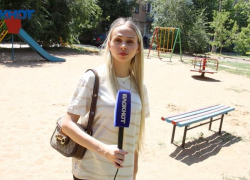 Тараканий рай обнаружили в Волжском: район, где насекомые выживают людей