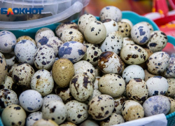 Из куриных яиц могут появиться змеи, или зачем наши предки варили все яйца