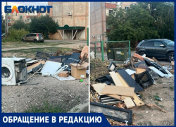 «Целую квартиру вынесли»: в помойку из бытовой техники и вещей превратили двор в Волжском
