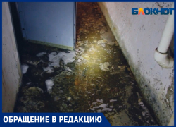 «Вода в подвале так и стоит»,- жильцы многострадального дома