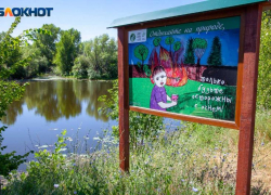 В сентябре волжане остались без «тихой» охоты: ограничения на посещение леса продлили
