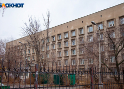 Волжане голосуют за серьезное наказание для женщины, совершившей нападение в очереди в поликлинике