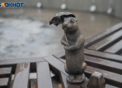 В Волжском воскресенье обещает дожди с самого утра