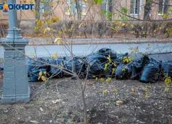 В Волжском состоится масштабный субботник  