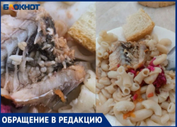 «Наших детей травят»: школьников близ Волжского кормят личинками