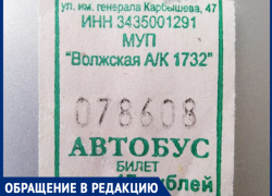 "Дети шли пешком в поселок после поломки автобуса", - волжанка