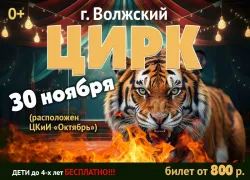 Товар дня! Билеты в цирк «Виолетт» от 800 рублей
