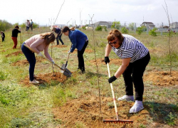 В Волжском стартует масштабный месячник благоустройства