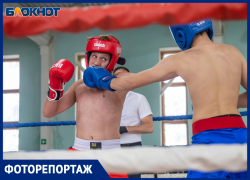 В Волжском состоялся Открытый турнир по кикбоксингу: фоторепортаж