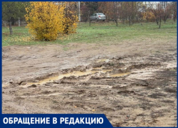 «Каждое утро – хаос и грязь»: родители бьют тревогу из-за отсутствия парковки у сада «Матрешка» в Волжском