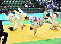 Волжским спортсменам вручат новые современные комплекты татами