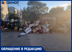 Итоги работы Экоцентра в Волжском на примере одного из мусорных баков