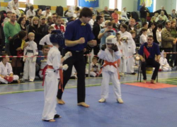 Турнир по жесткому единоборству снова в Волжском