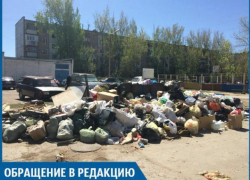 Крысы скоро будут бегать у свалки в 15 микрорайоне, - волжанка