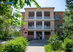 В Волжском осудили участников преступного сообщества за незаконный оборот рогов сайгака