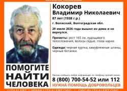 В Волжском третий день ищут без вести пропавшего пенсионера 