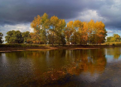 Волжан приглашают на экскурсию в природный парк "Волго-Ахтубинская пойма"