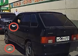 Где живем, там и ср*м: волжанин снял на видеорегистратор, как из окна машины выкидывают целлофан и обертку