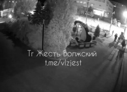 Похитительница цветов разорила клумбу а ЗАГСа в Волжском: видео