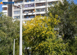 В Волжском обсуждают мужчину со спущенными штанами у школы