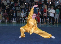 На региональном чемпионате по ушу волжане взяли 9 медалей 